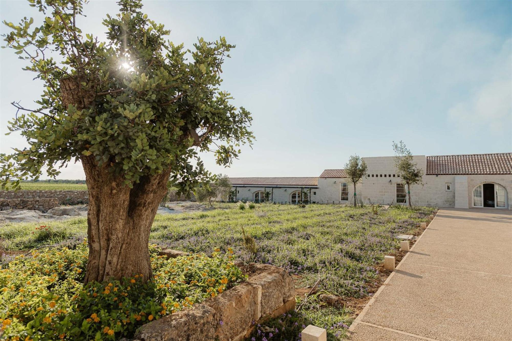 Masseria Vaccaro By Raro Villas - Self Check-In Brindisi Exterior foto