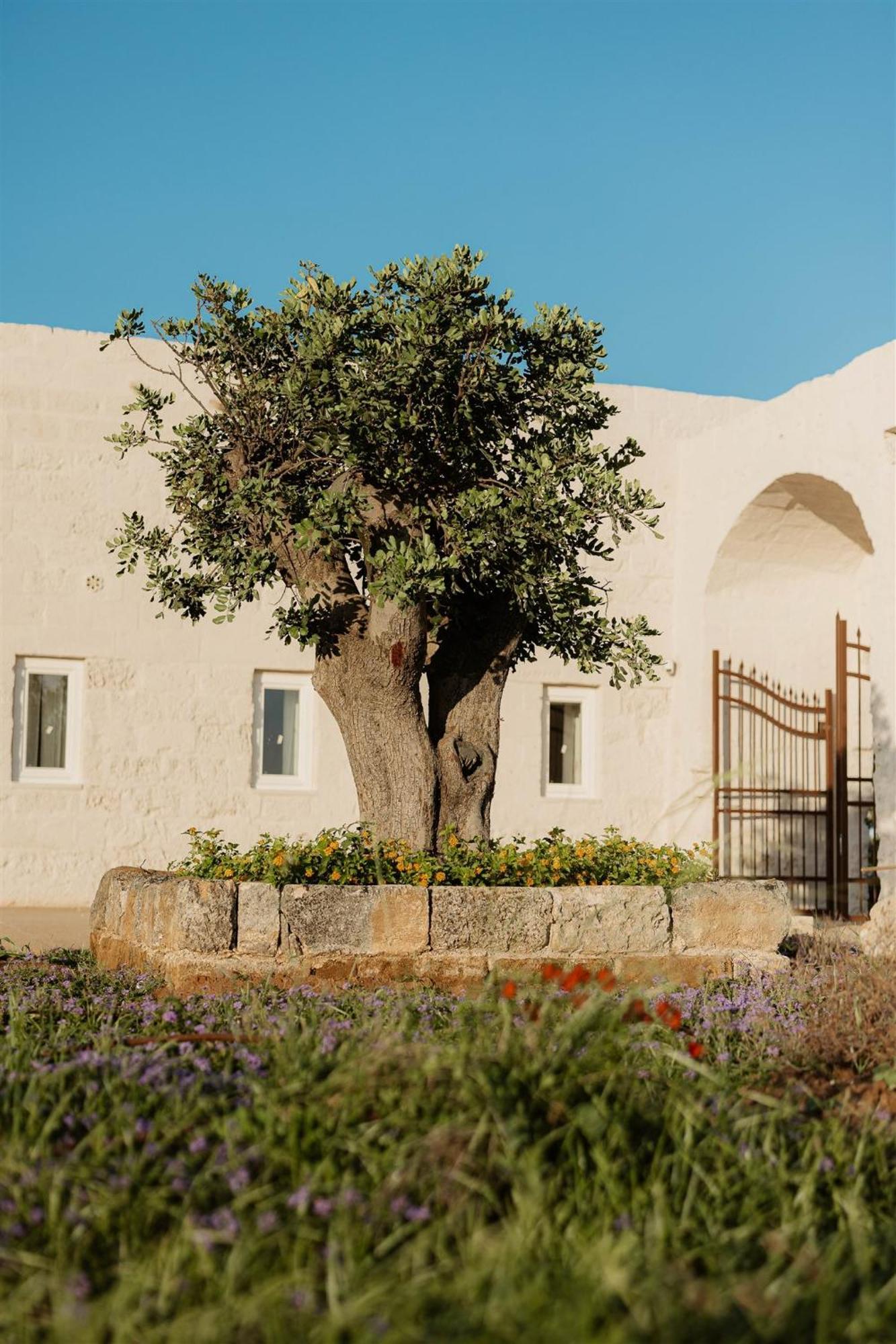 Masseria Vaccaro By Raro Villas - Self Check-In Brindisi Exterior foto